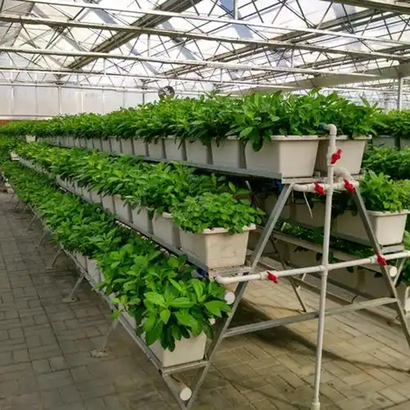 衢州市植物工厂水肥机 - 方案
