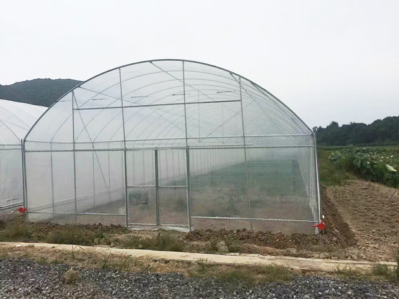 衢州市薄膜大棚蔬菜大棚 - 哪里好
